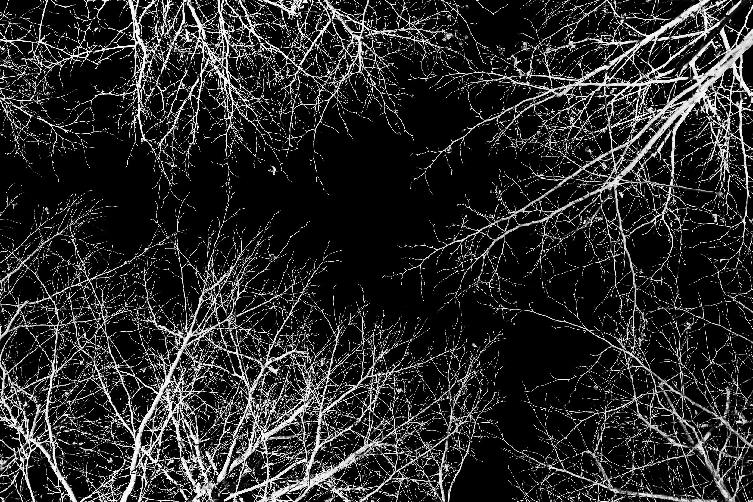 R0000918-DeNoiseAI-low-light-2.jpg