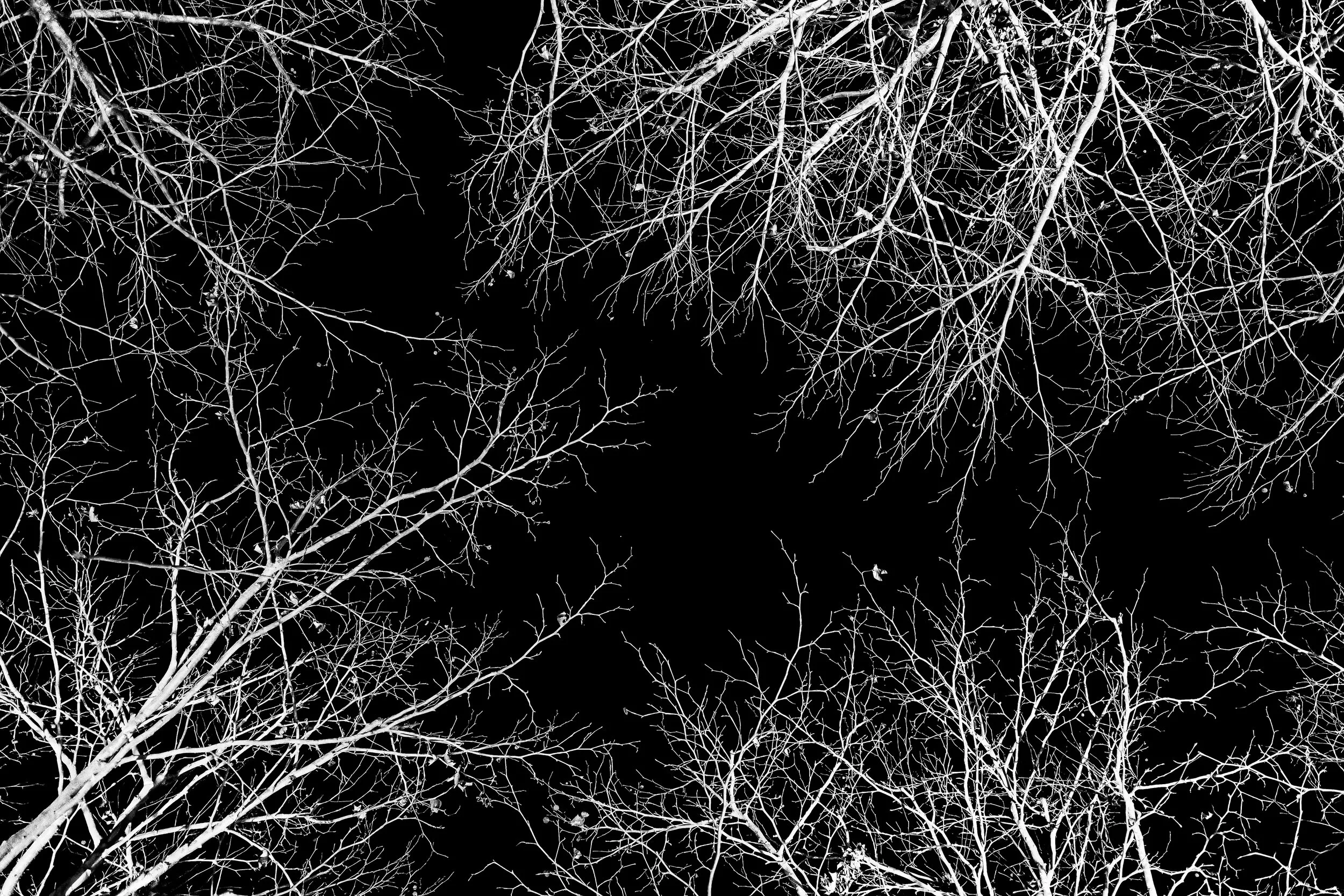 R0000919-DeNoiseAI-low-light-2.jpg