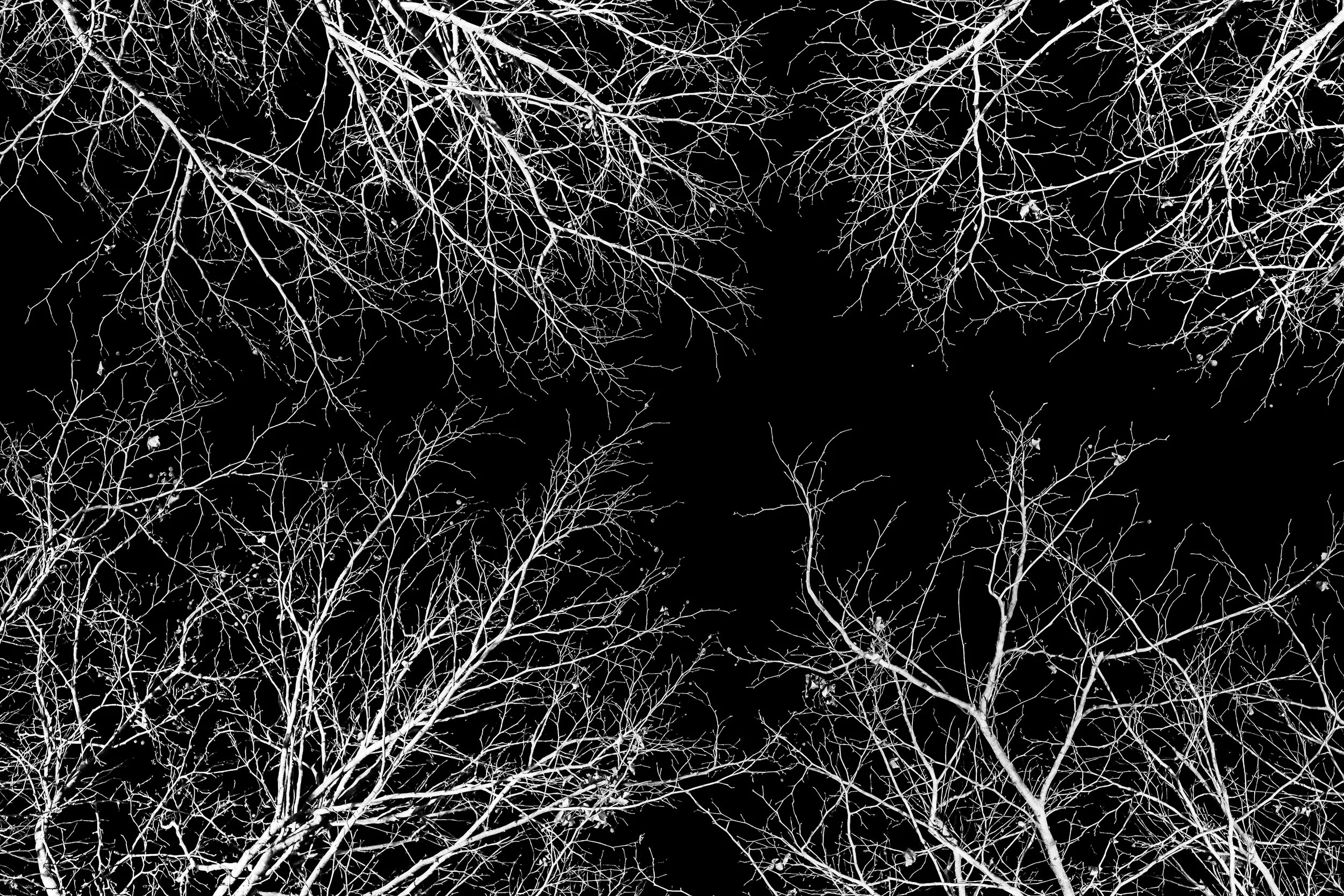 R0000920-DeNoiseAI-low-light-2.jpg