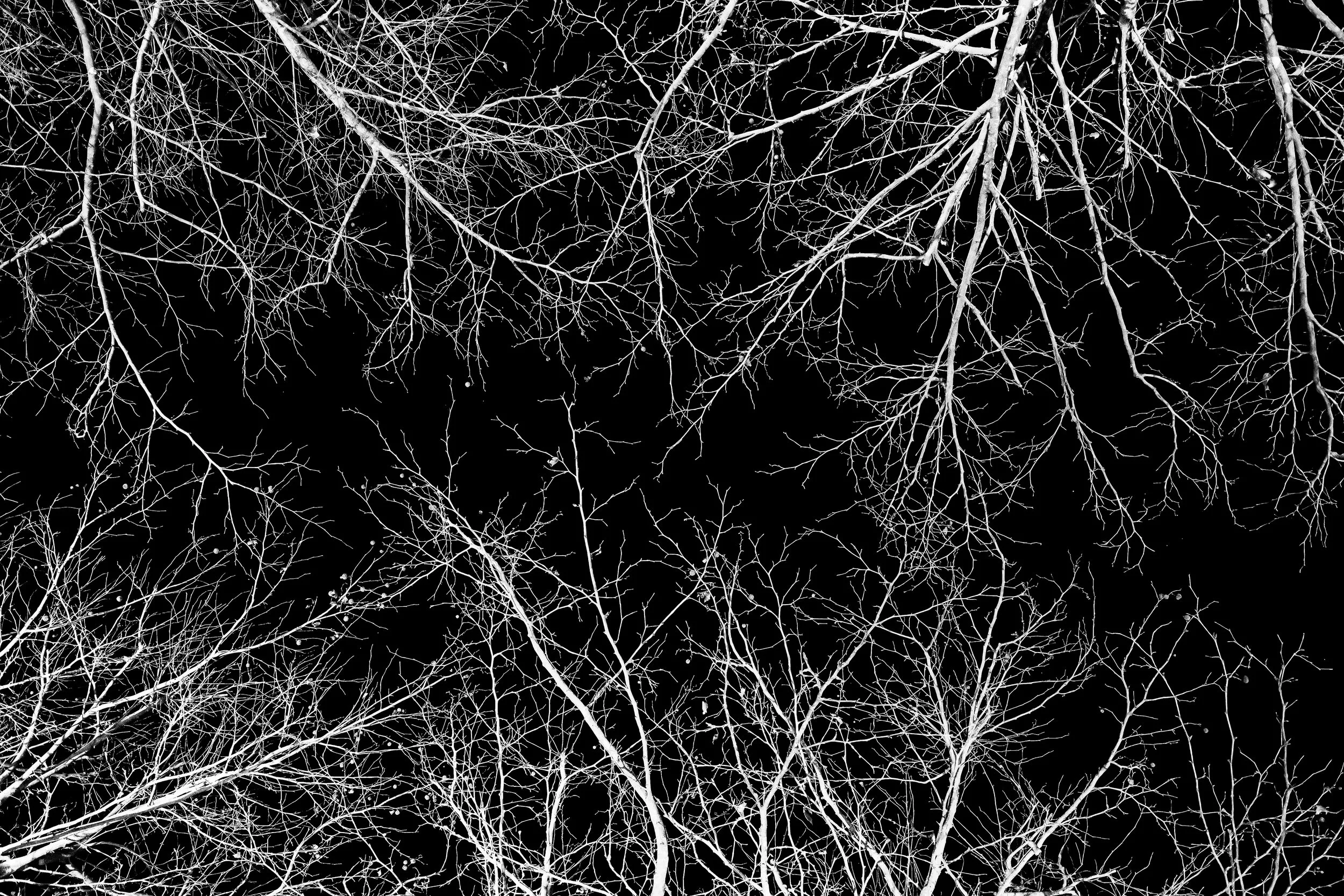 R0000926-DeNoiseAI-low-light-2.jpg
