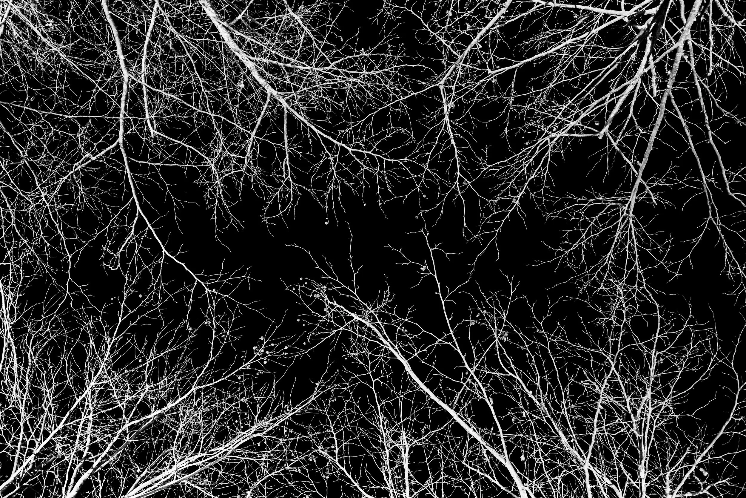 R0000927-DeNoiseAI-low-light-2.jpg