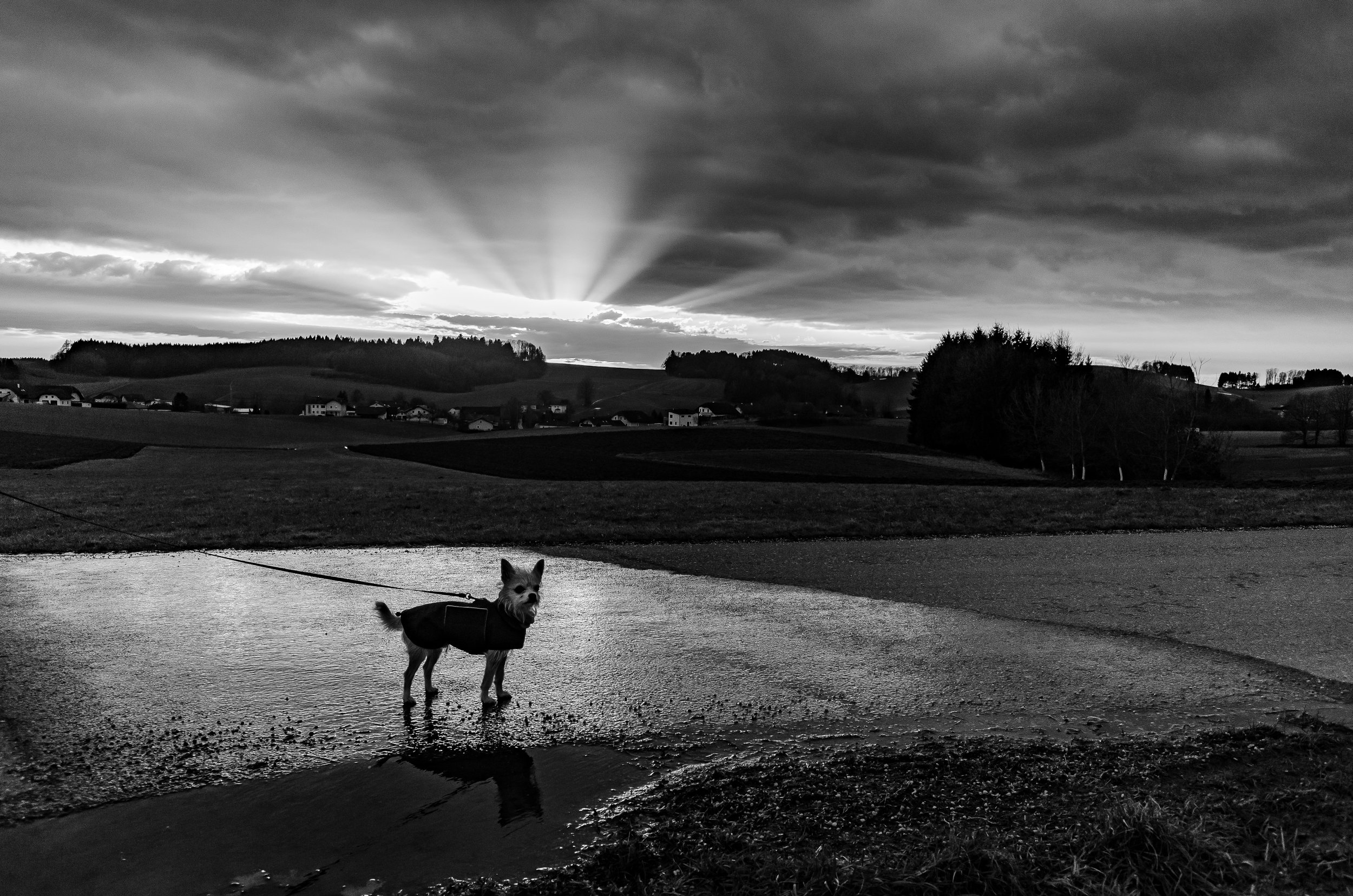 DSC_0973-3.jpg