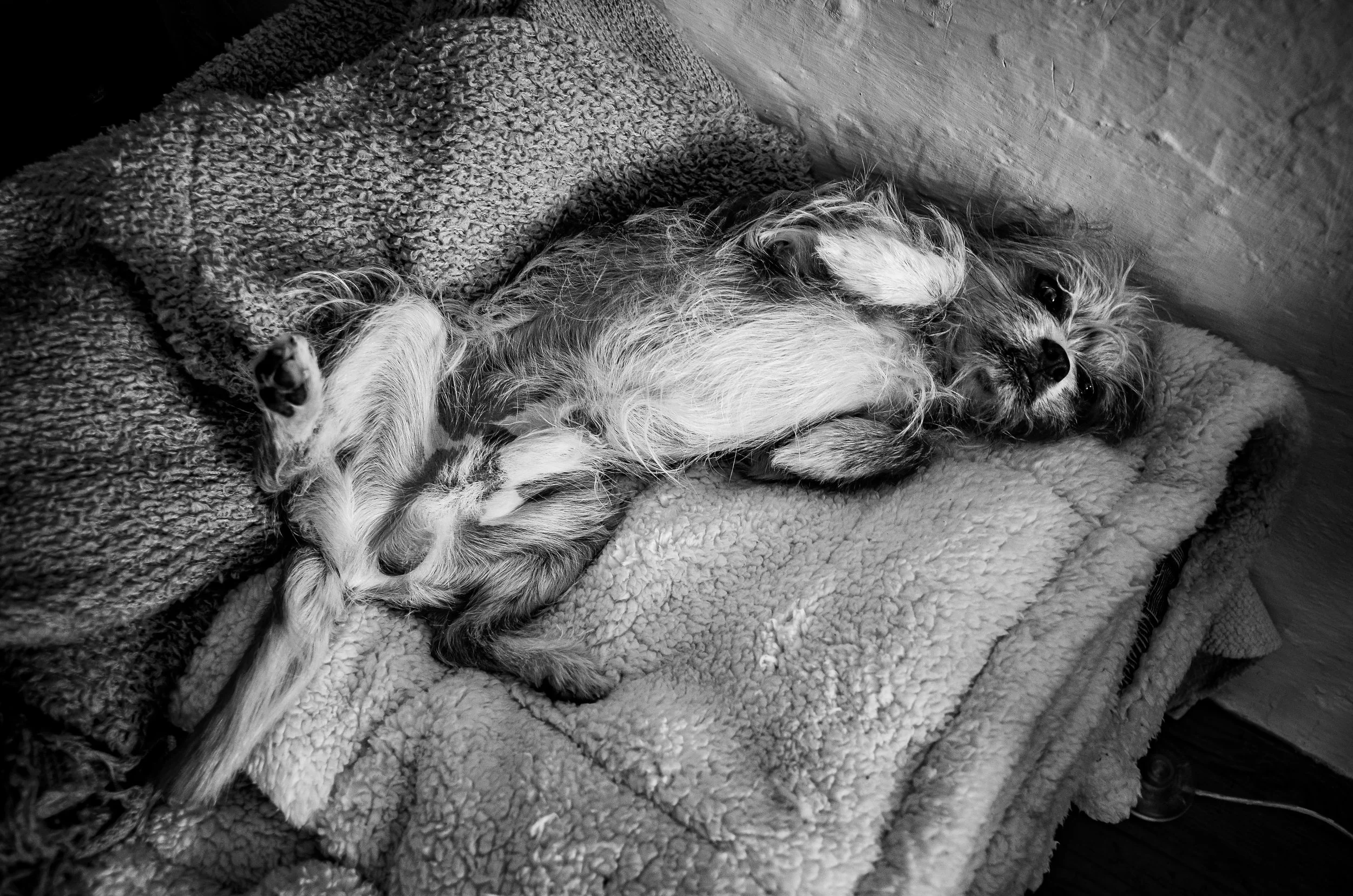 DSC_0526B.jpg