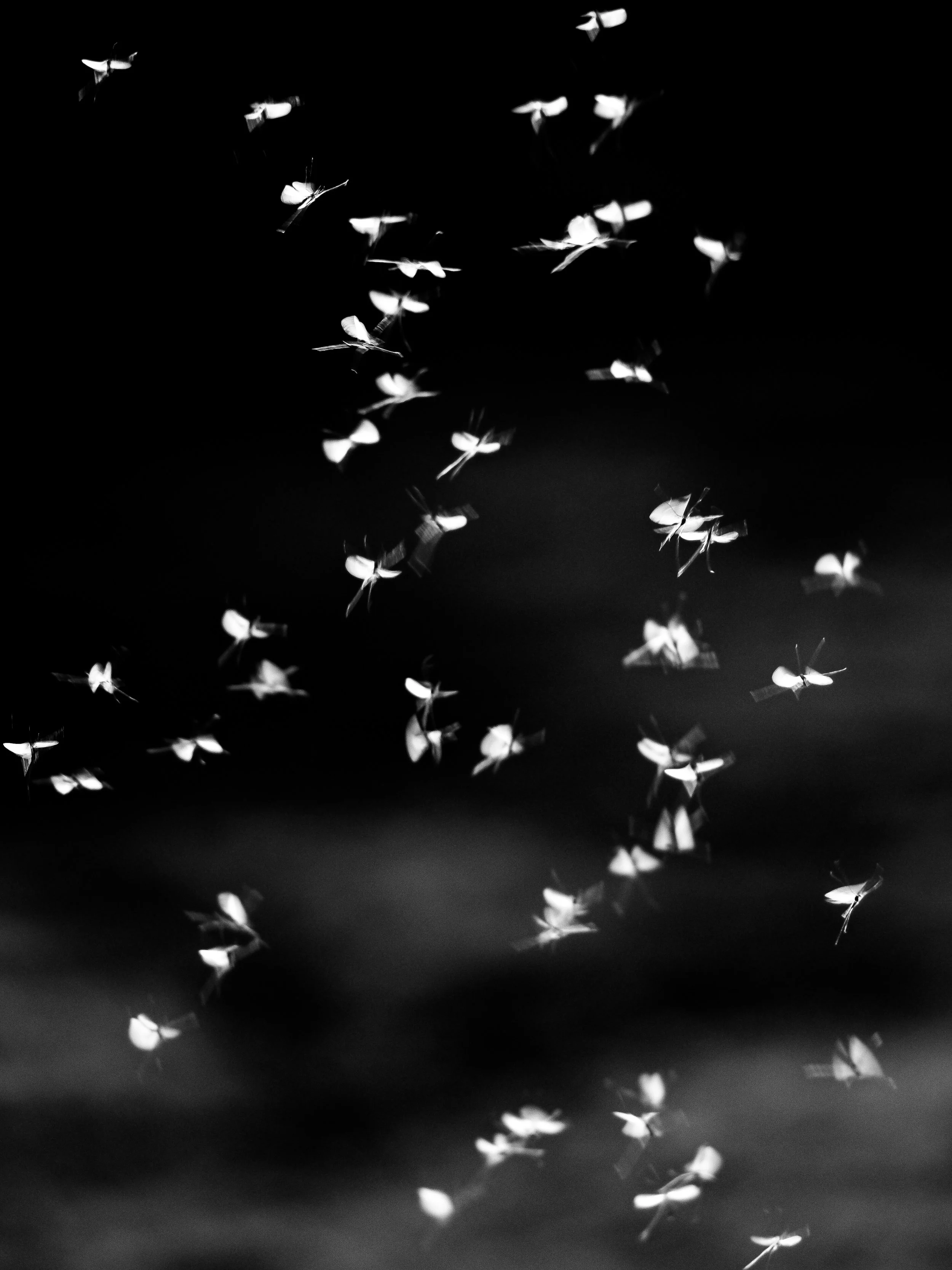 P3213537-3.jpg