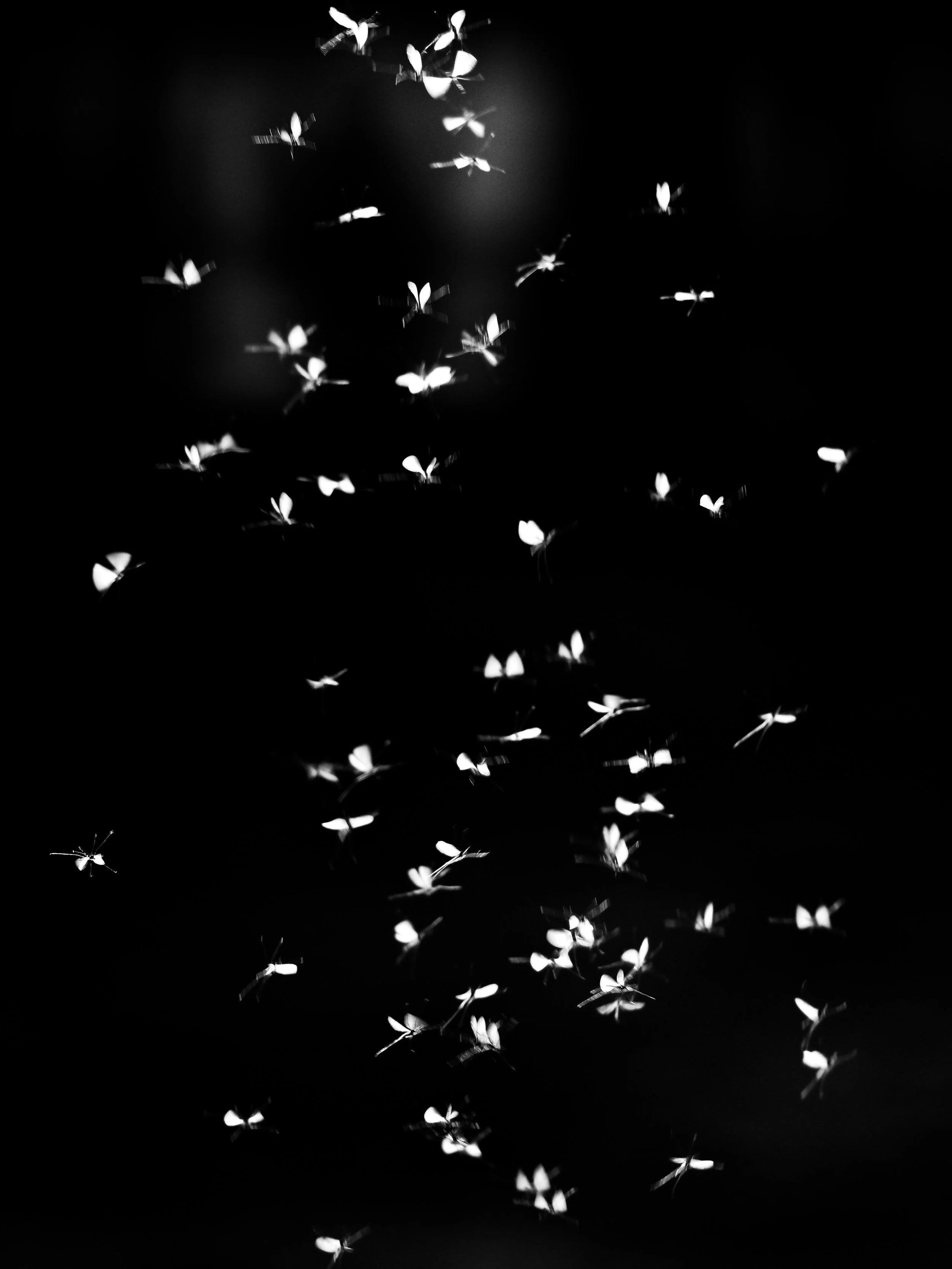 P3213541-3.jpg