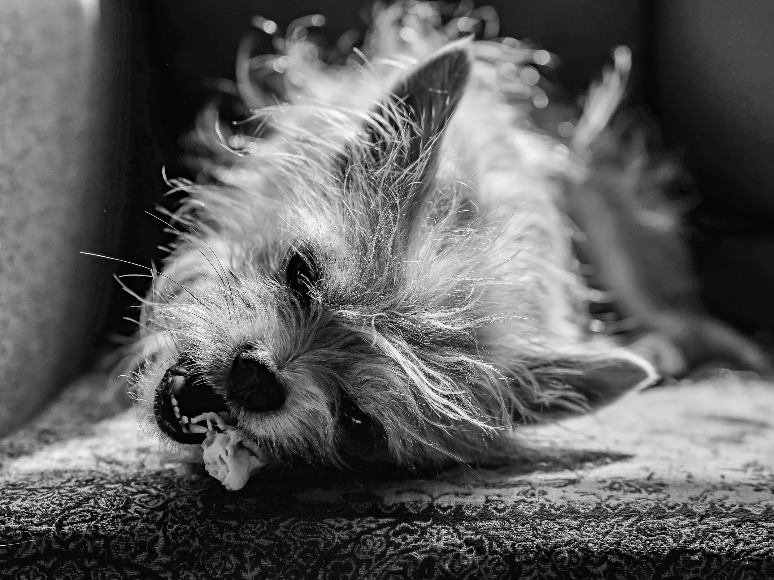 P1070323-2.jpg