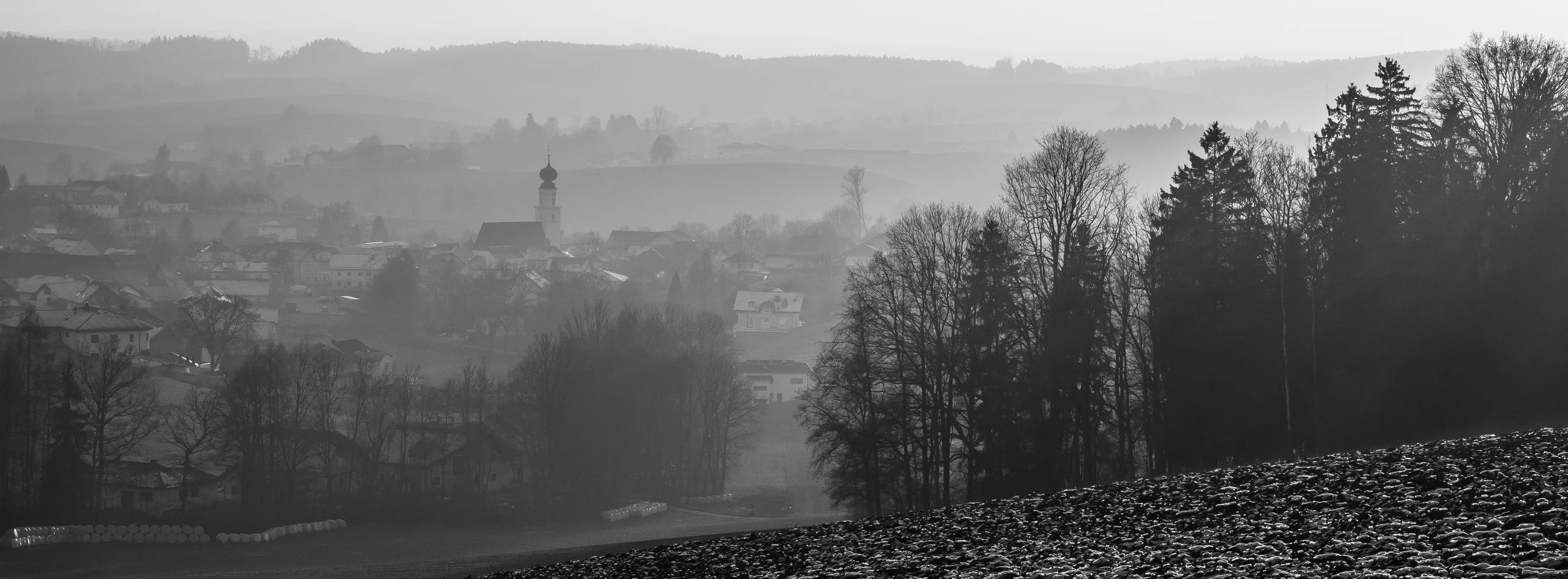 DSC_0405.jpg