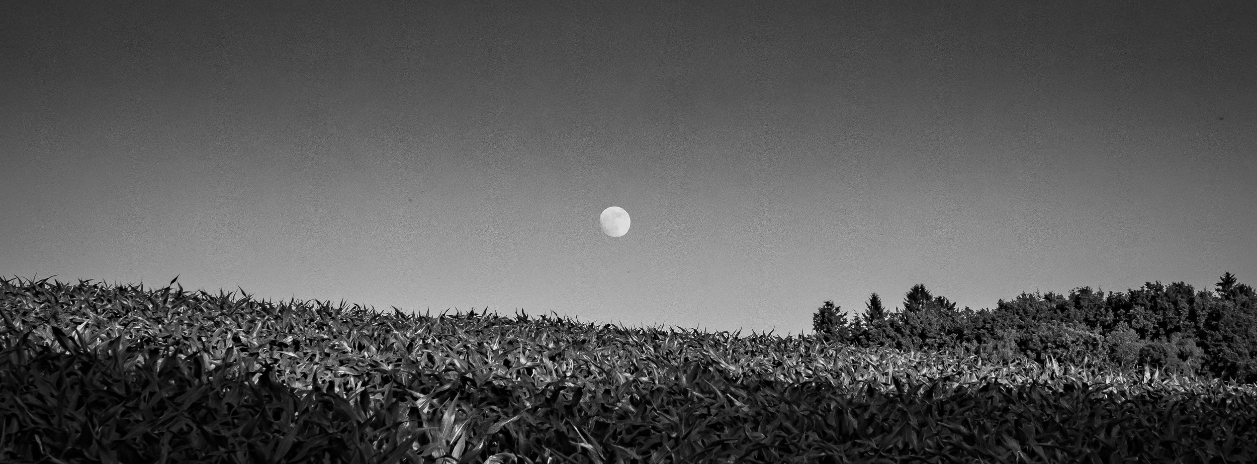 P6120665.jpg