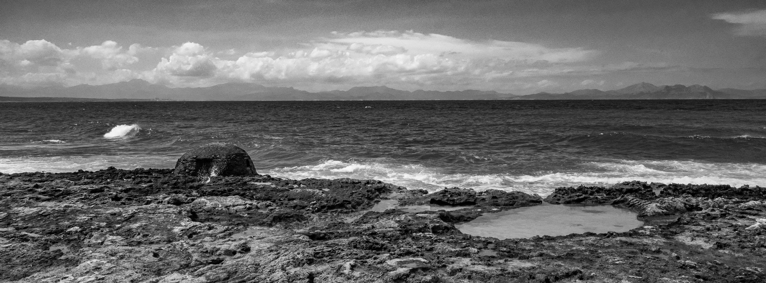 R0005384-5.jpg