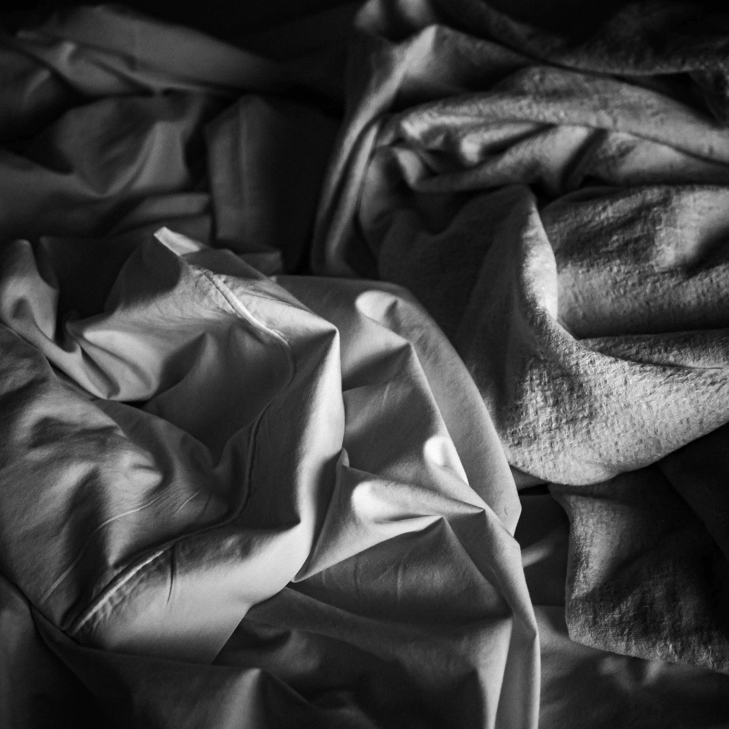 _1082160.jpg