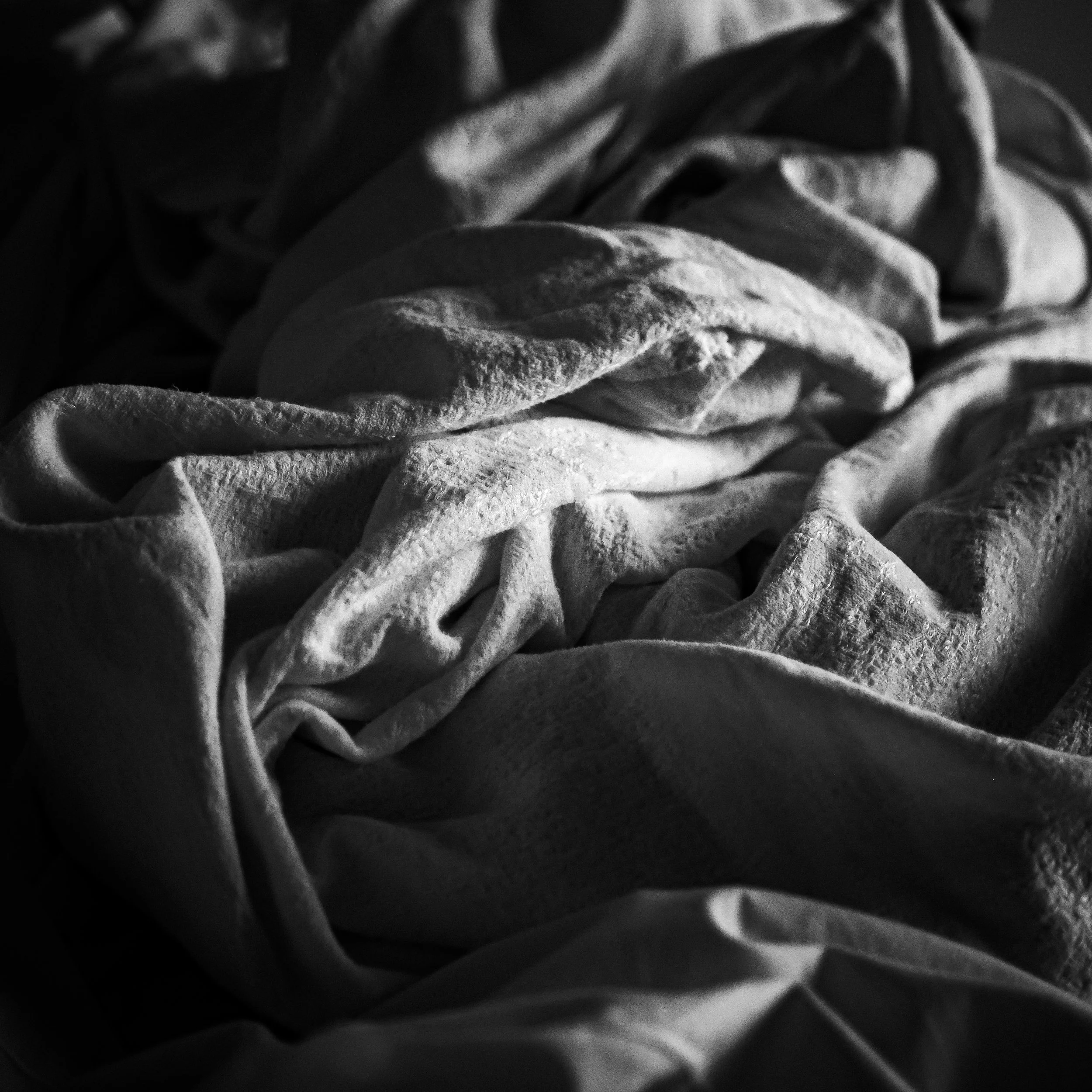 _1082159.jpg