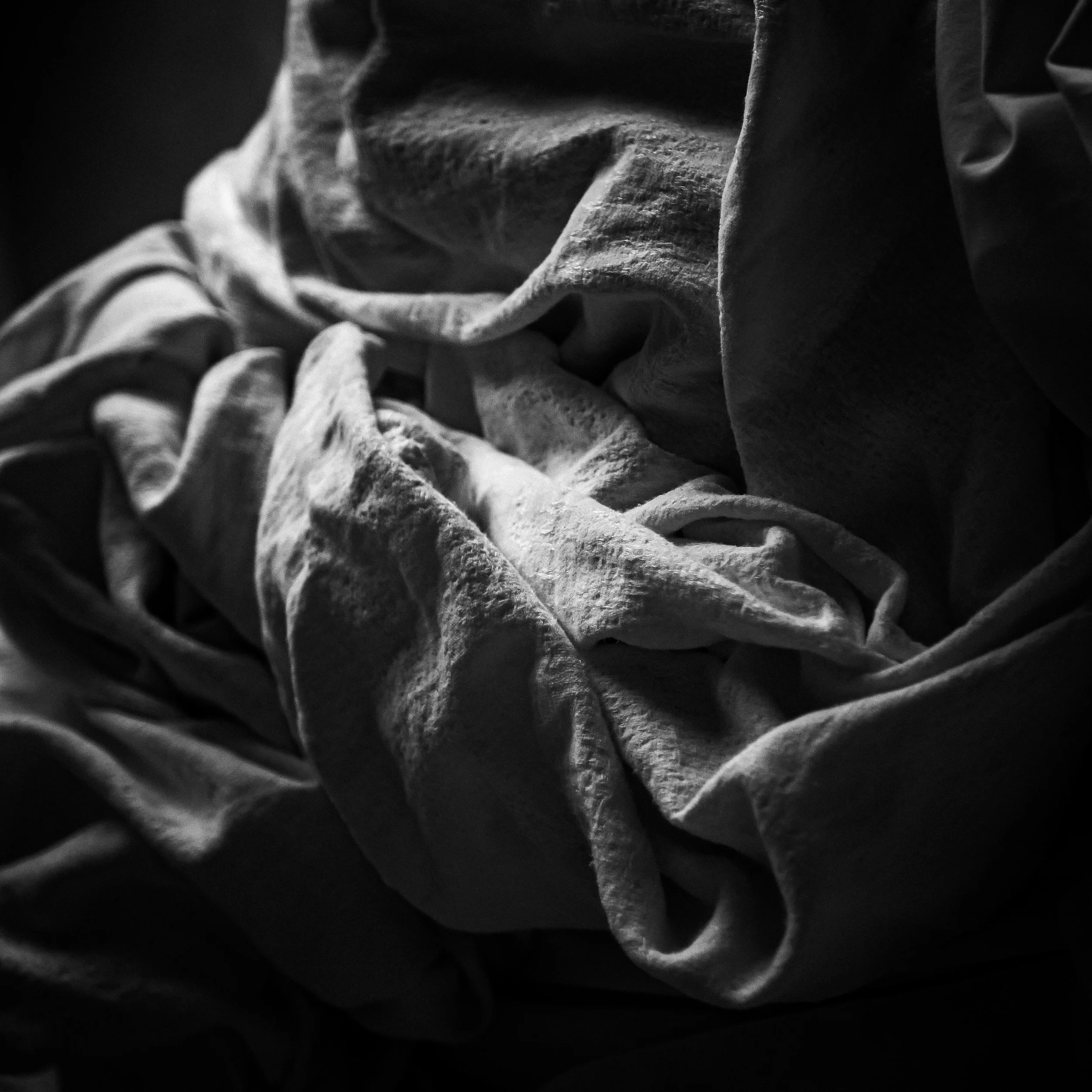 _1082158.jpg
