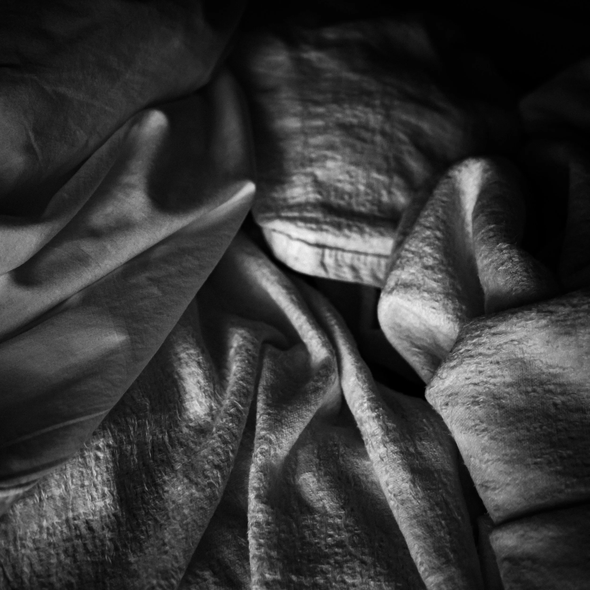 _1082152.jpg