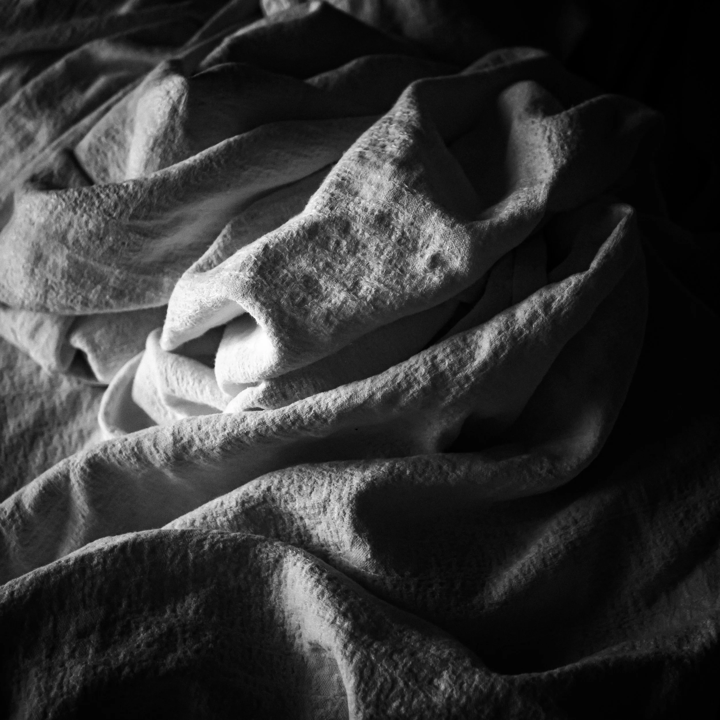 _1082149.jpg