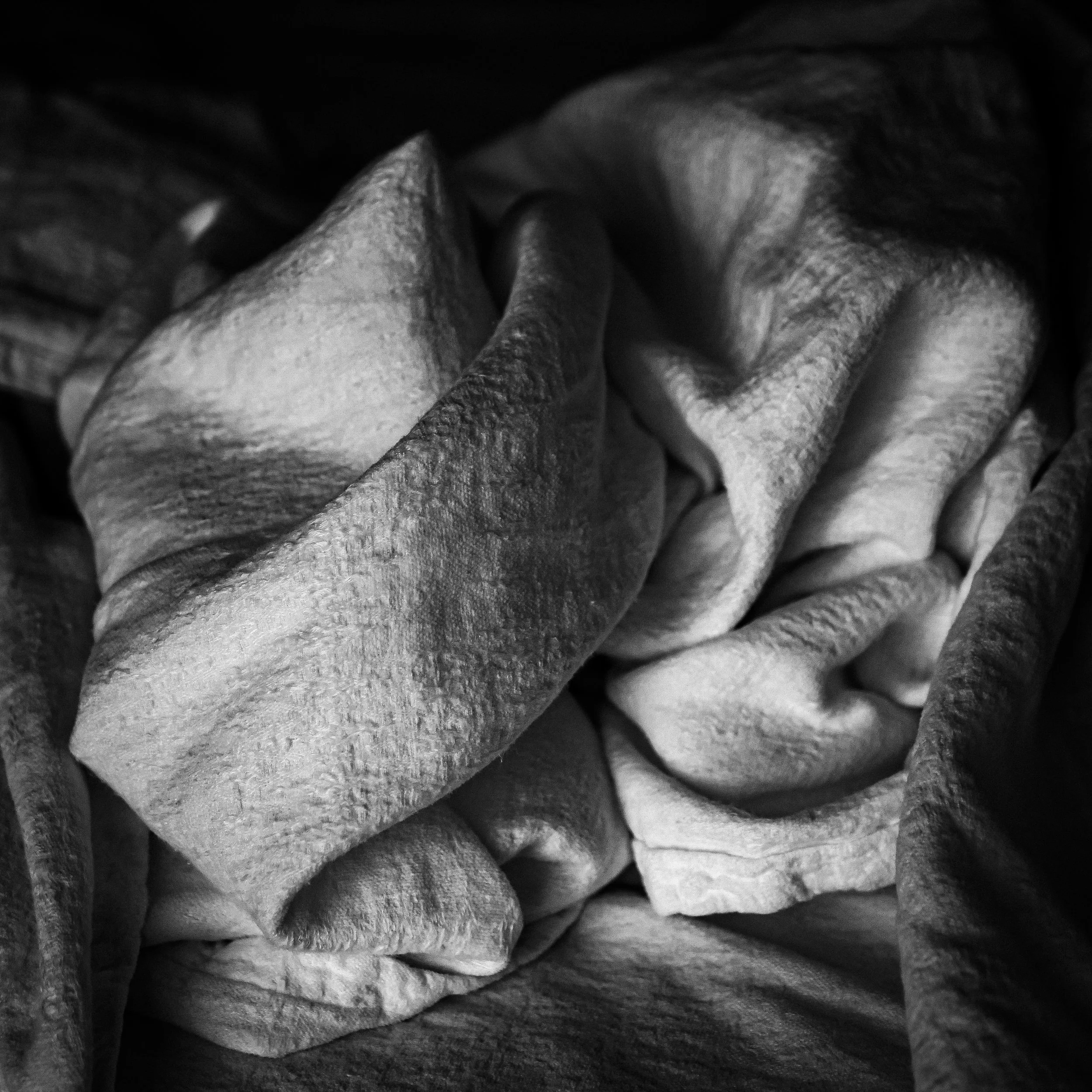 _1082147.jpg