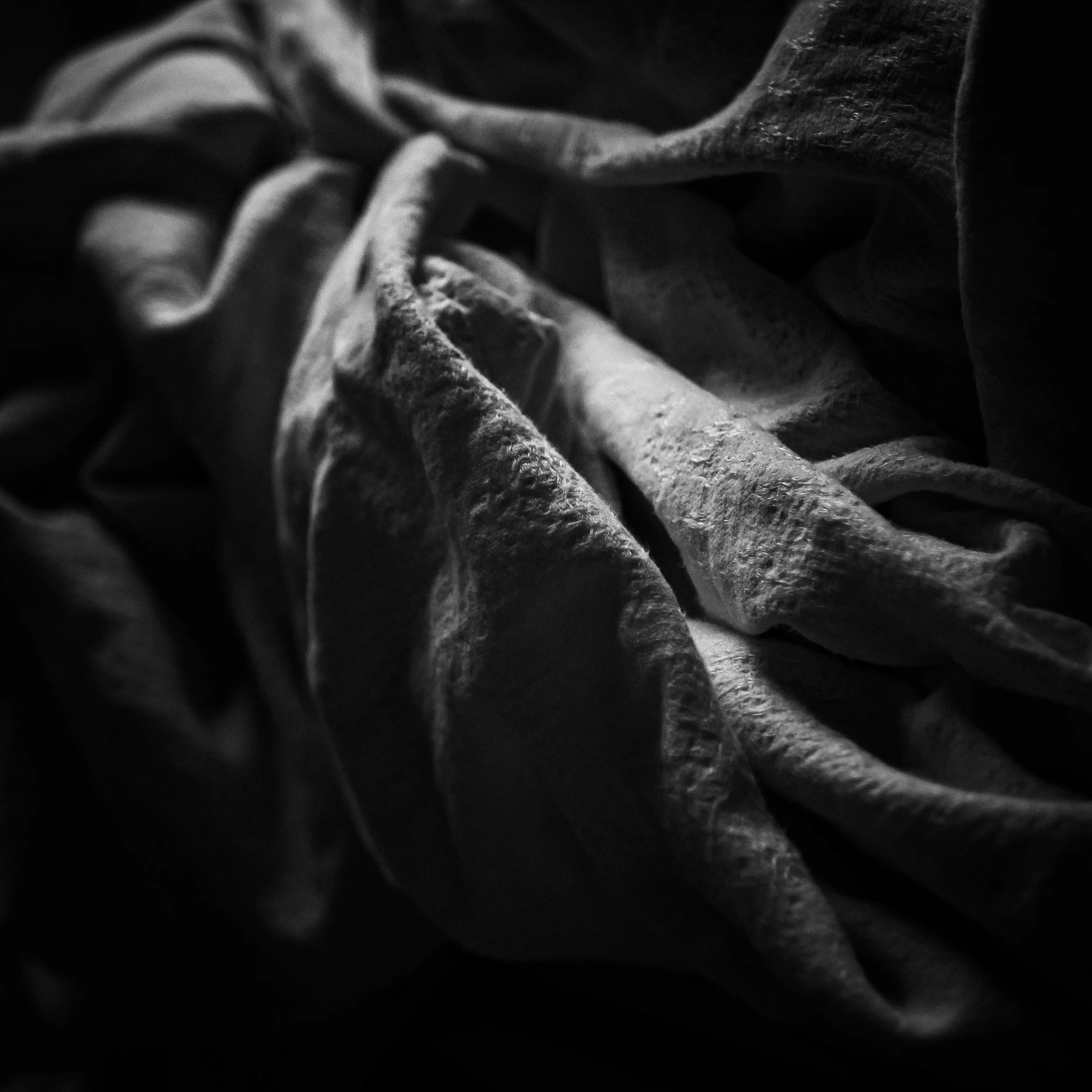_1082144.jpg