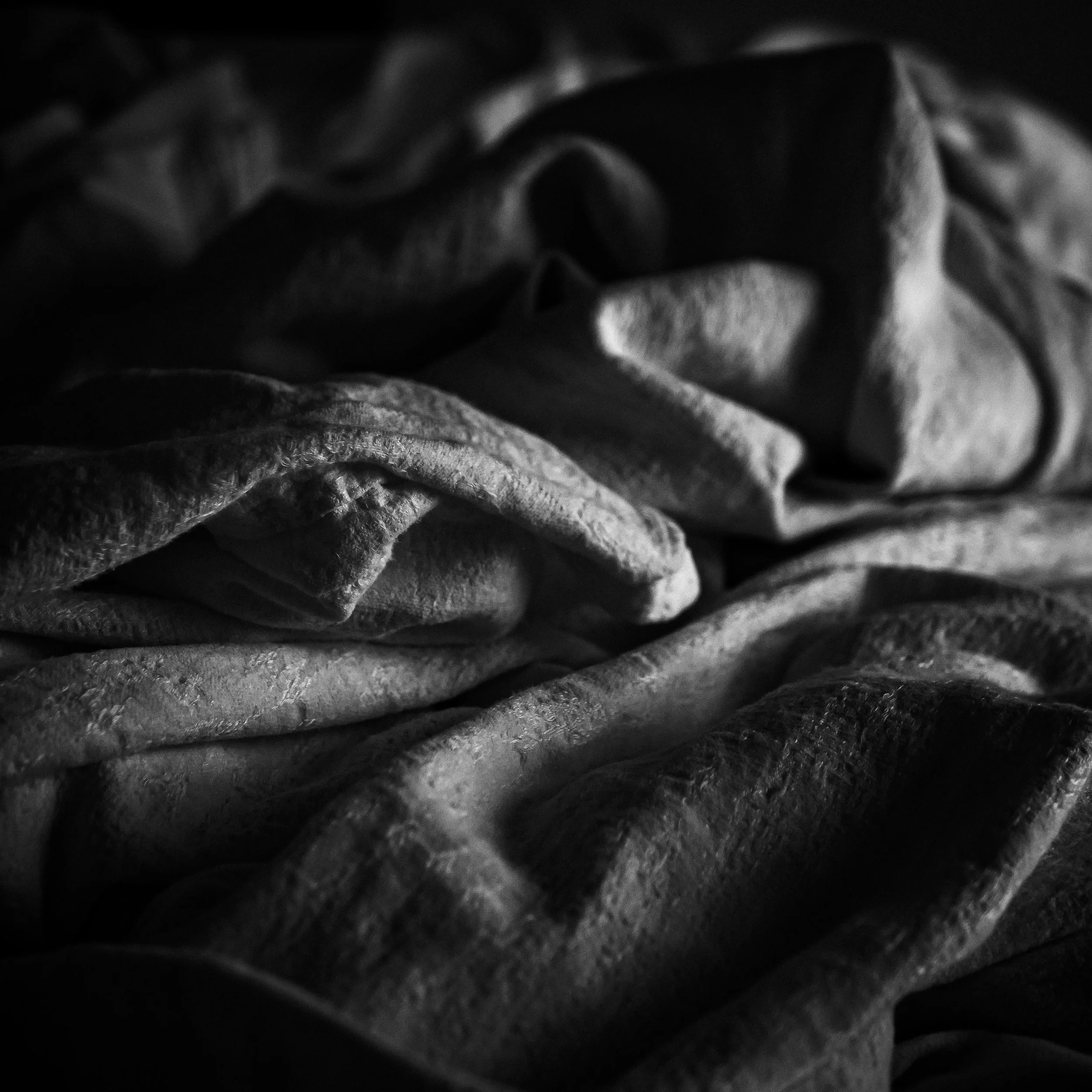 _1082143.jpg