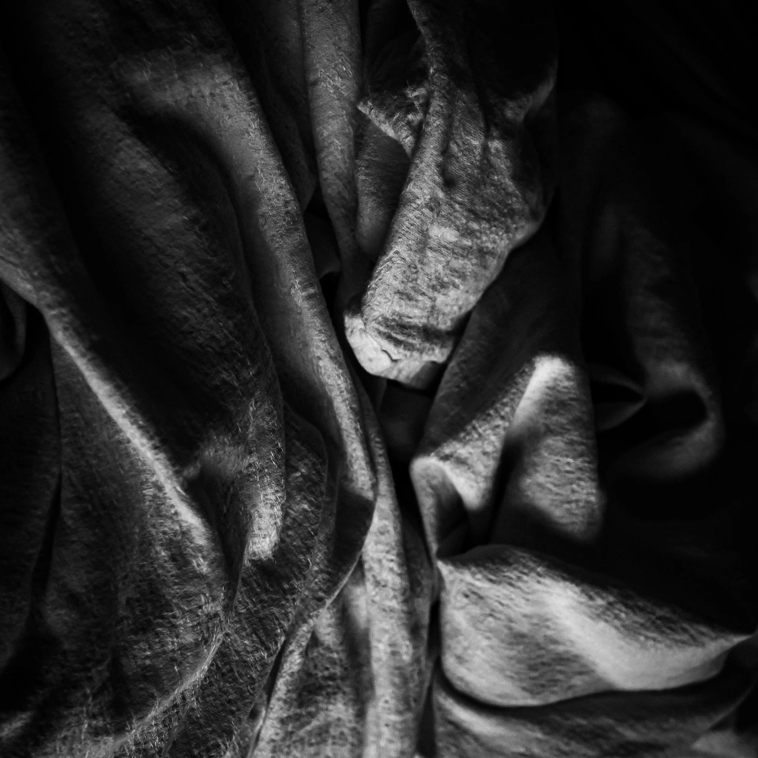 _1082141.jpg