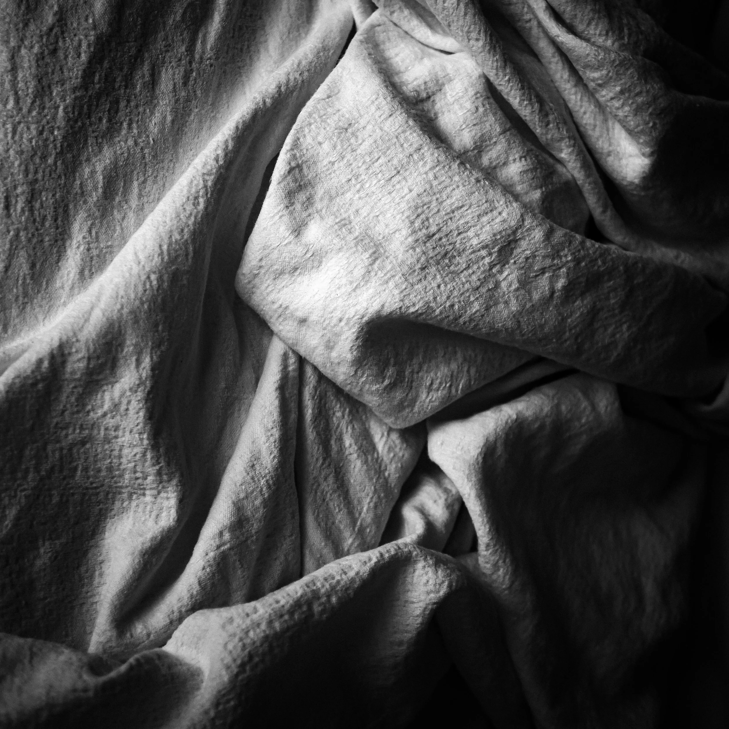 _1082136.jpg