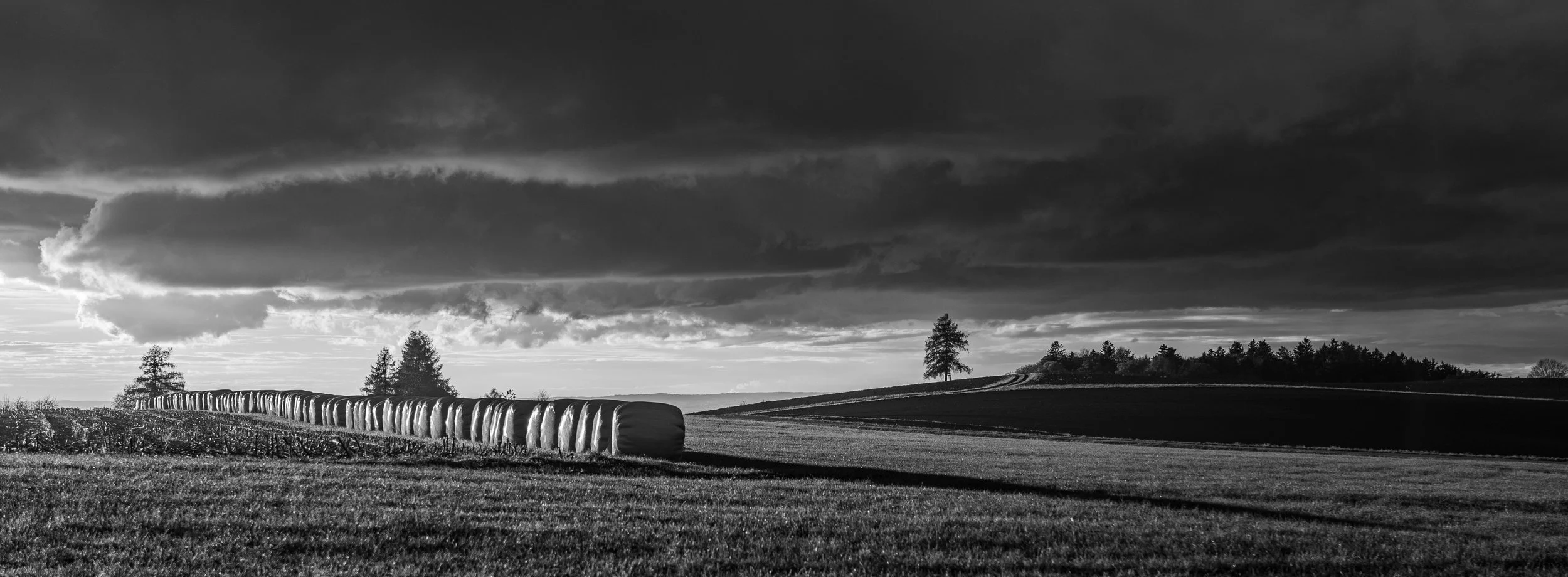 P1088716-2.jpg