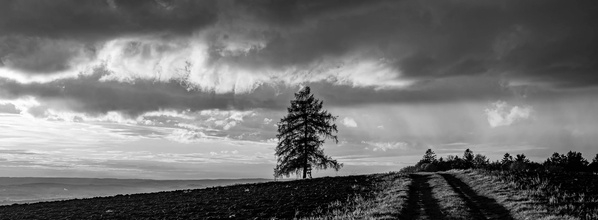P1088750-2.jpg