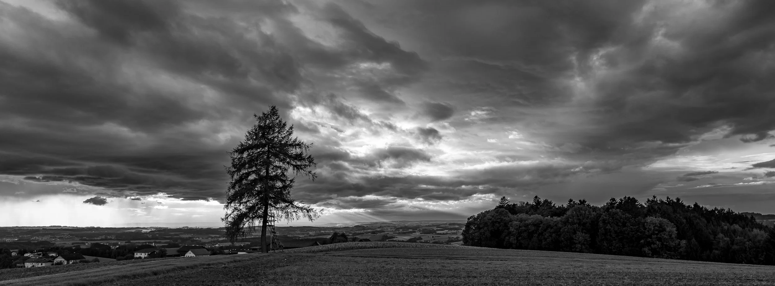 P1078450-5.jpg