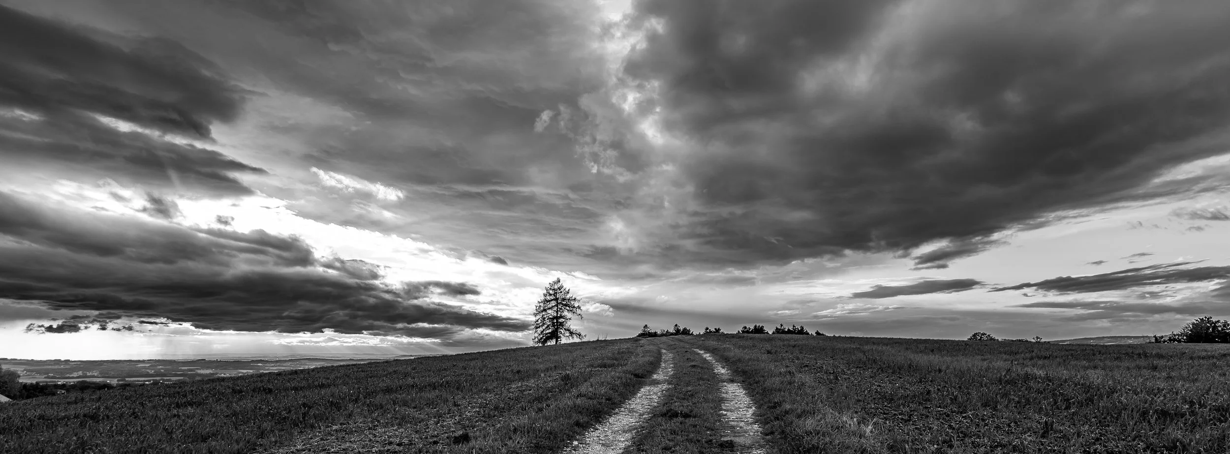 P1078426-3.jpg