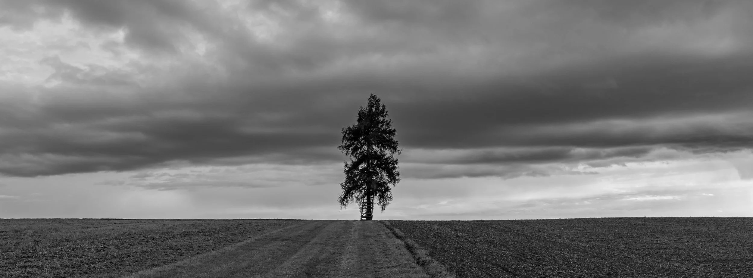 P1078465-4.jpg
