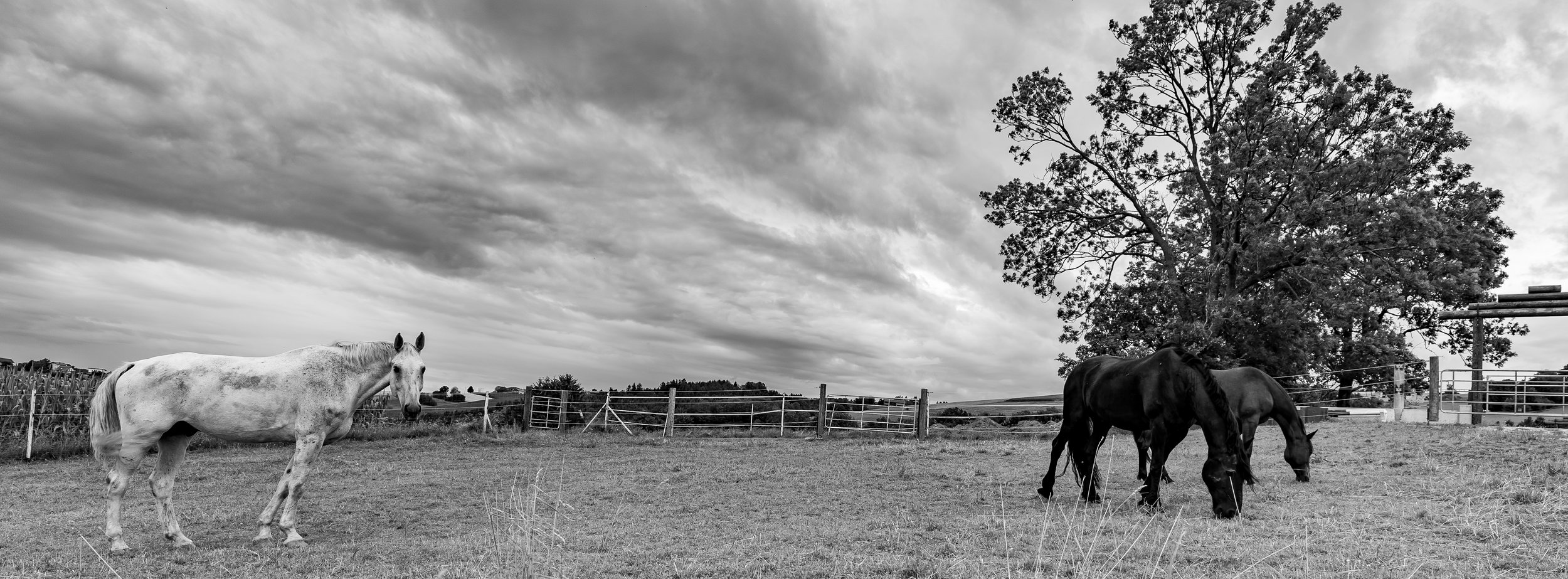 P1000619-3.jpg