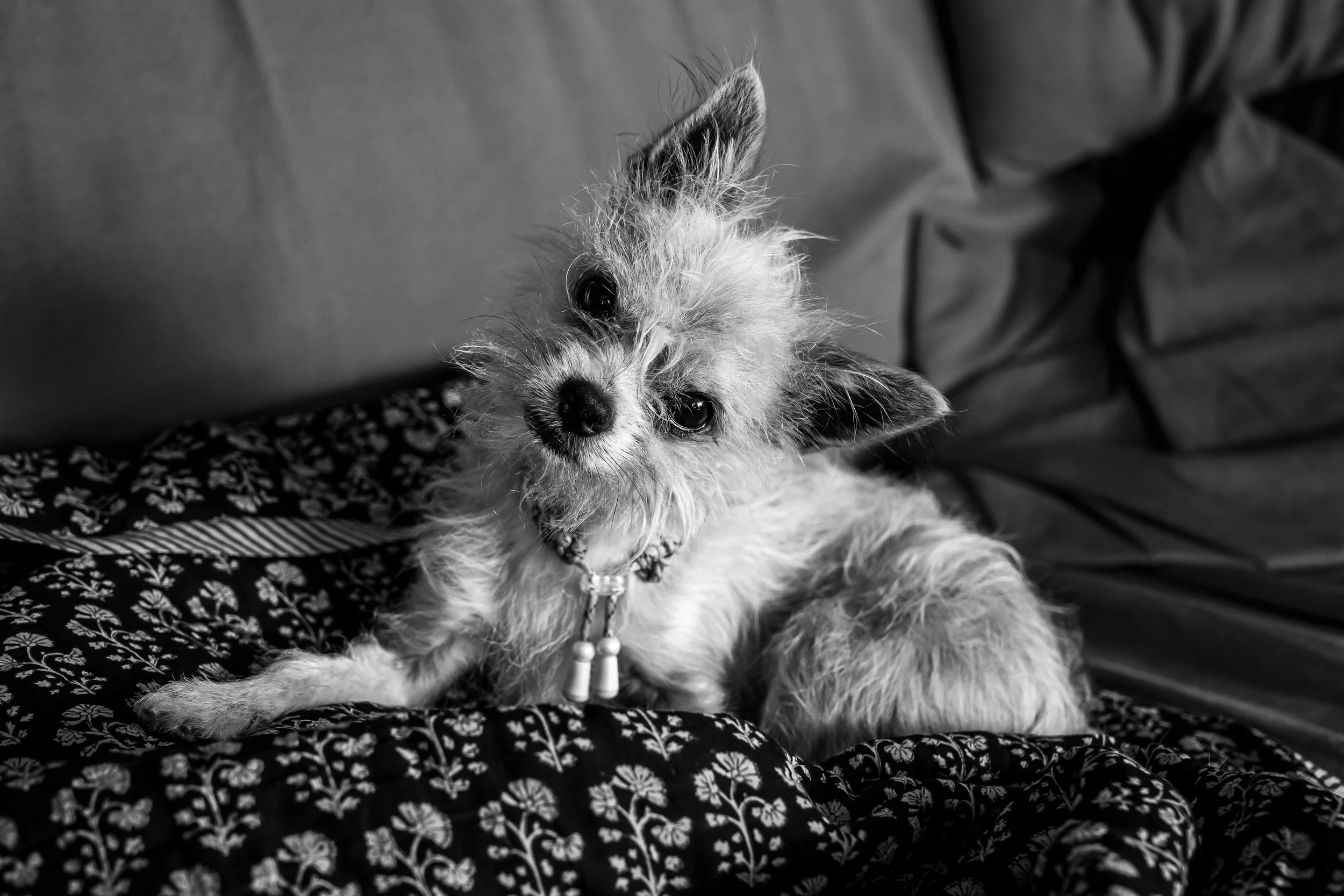 P1089384-2.jpg