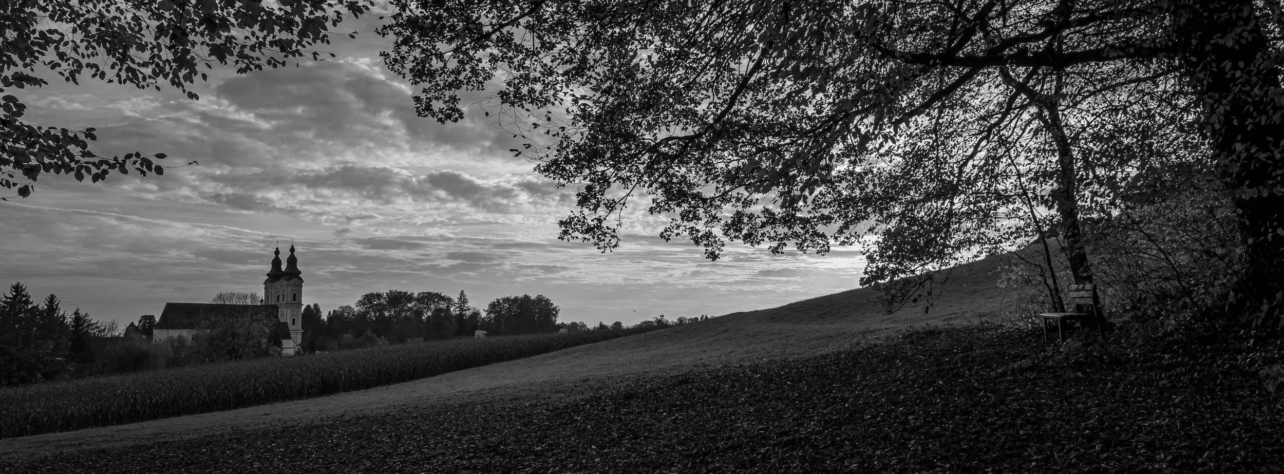 P1089621-5.jpg