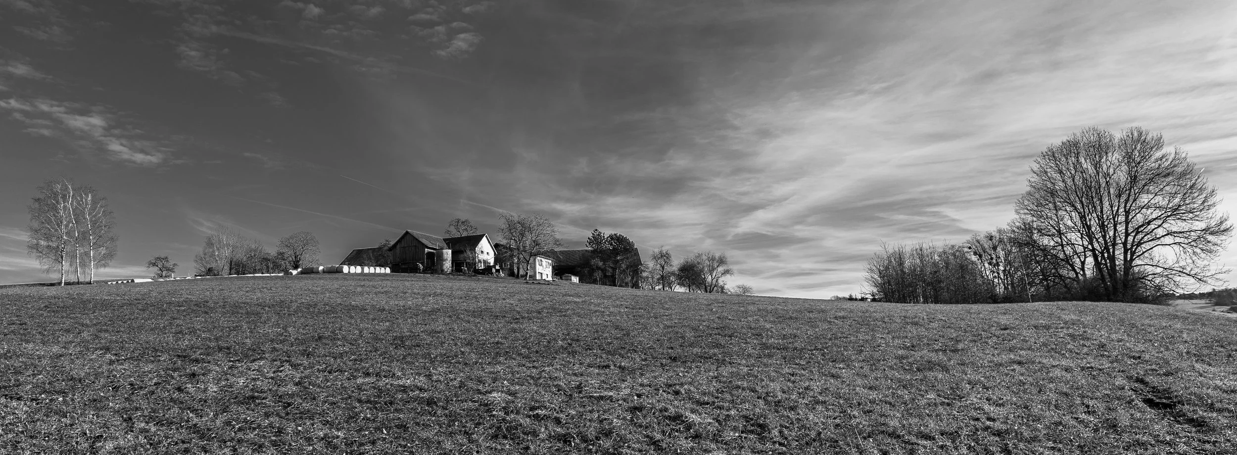 P1100883-2.jpg