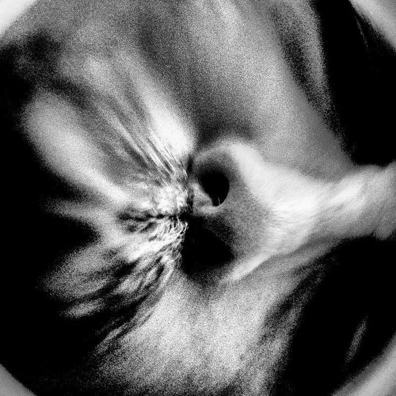 R0007651 (2).jpg