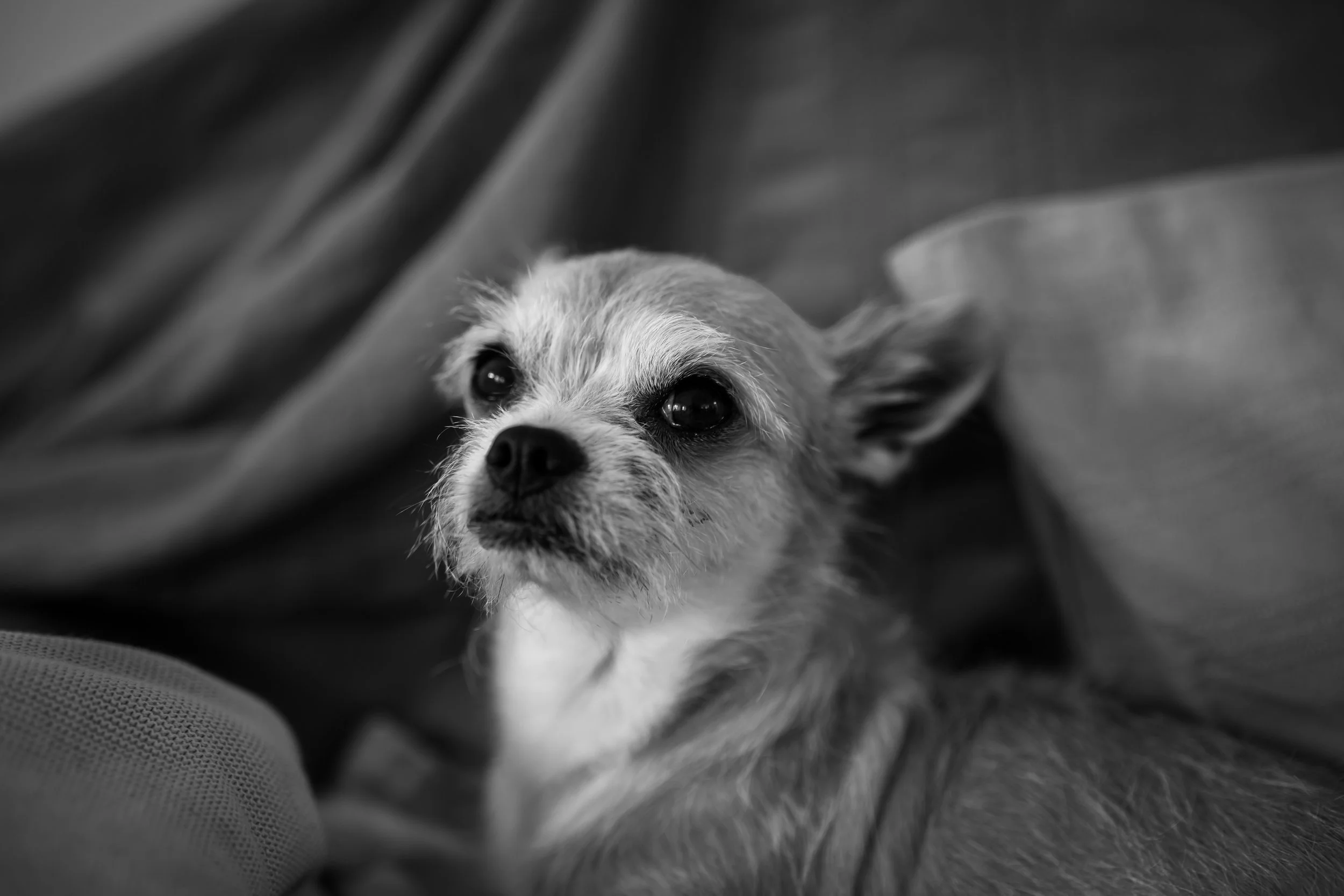 P1389255-2.jpg