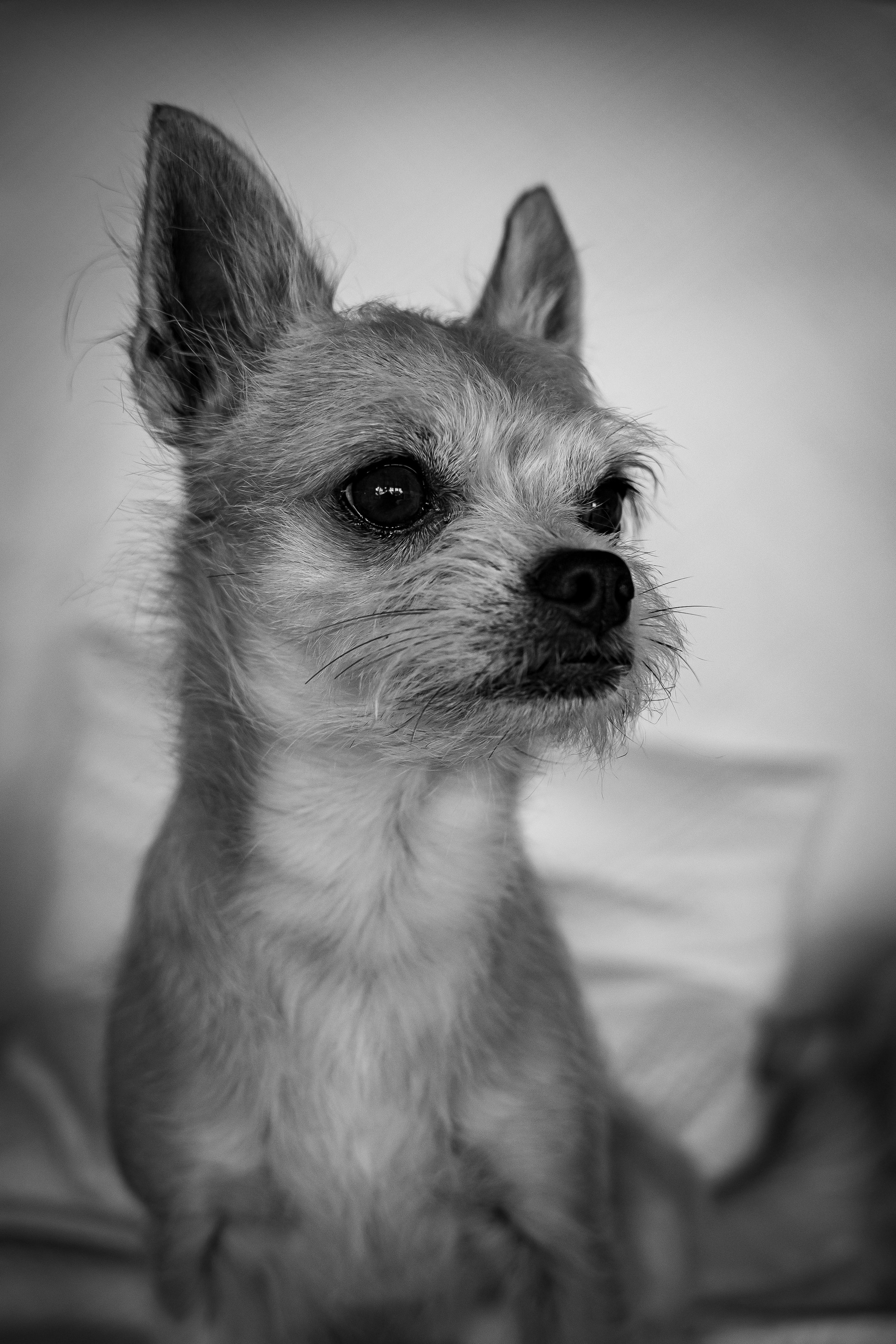 P1389538-2.jpg