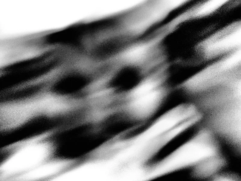 P8261056 (2).jpg