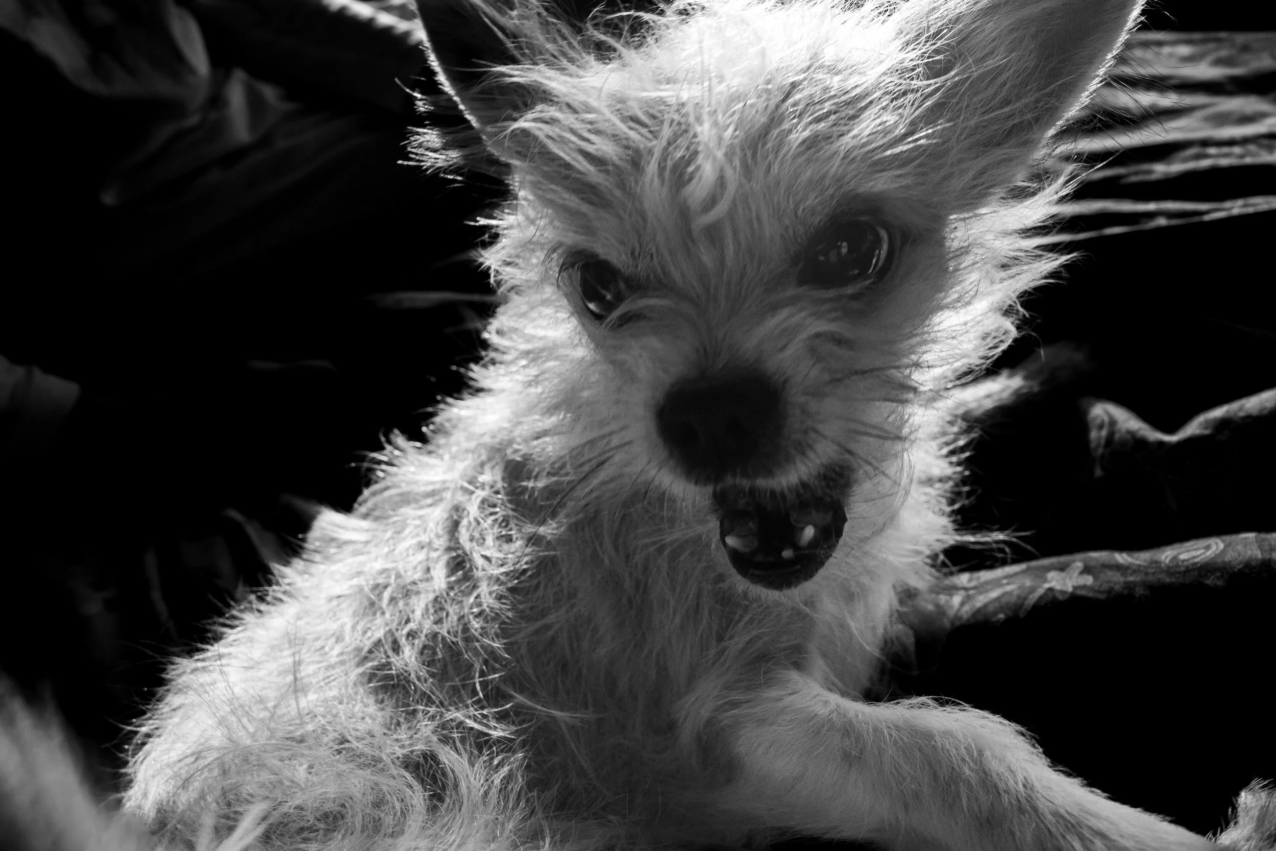 R0006277-2.jpg