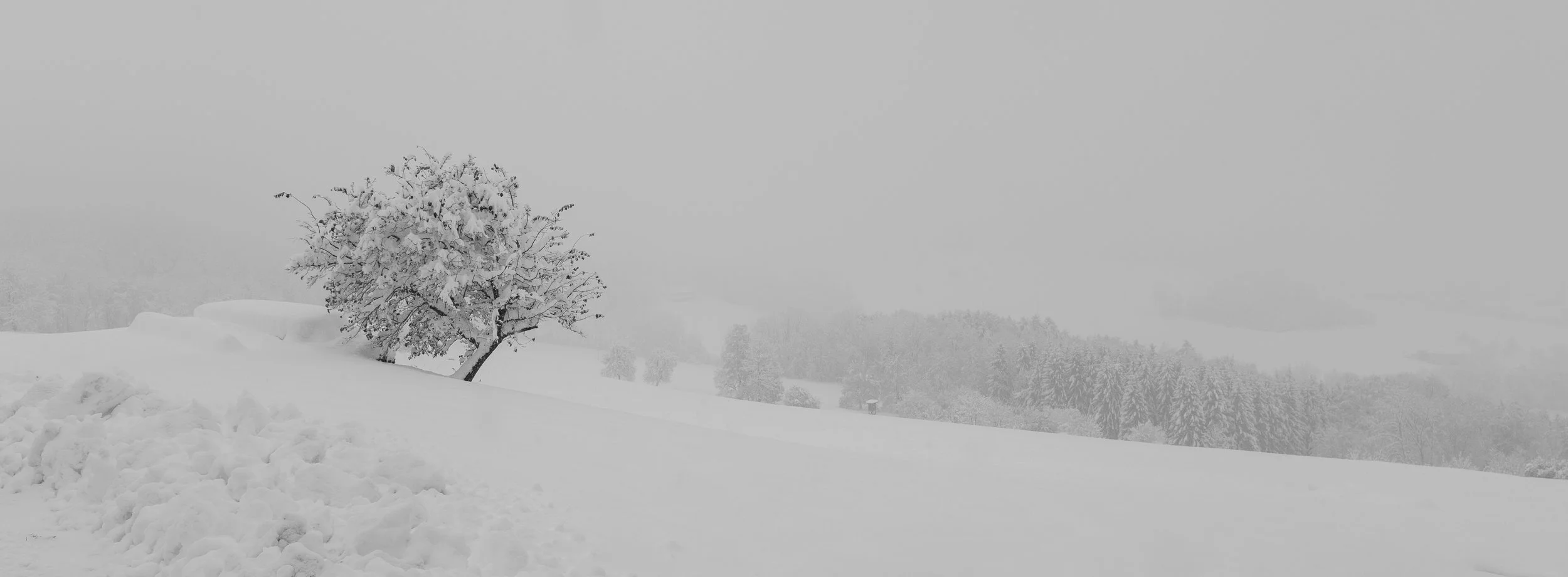 P1423160-2.jpg