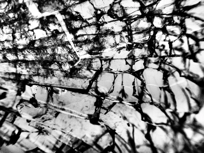 _A090152.jpg