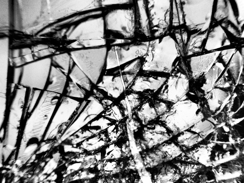_A090153.jpg