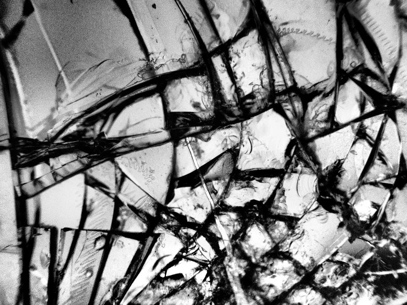 _A090154.jpg