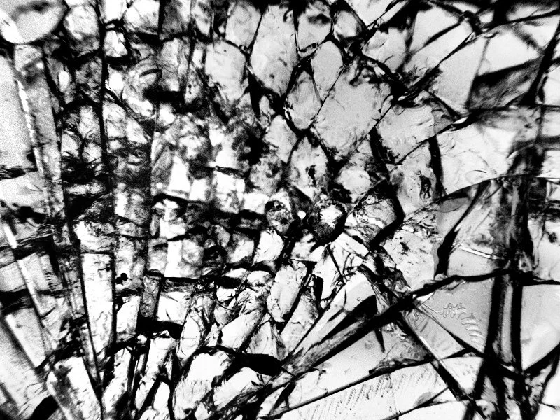 _A090145.jpg