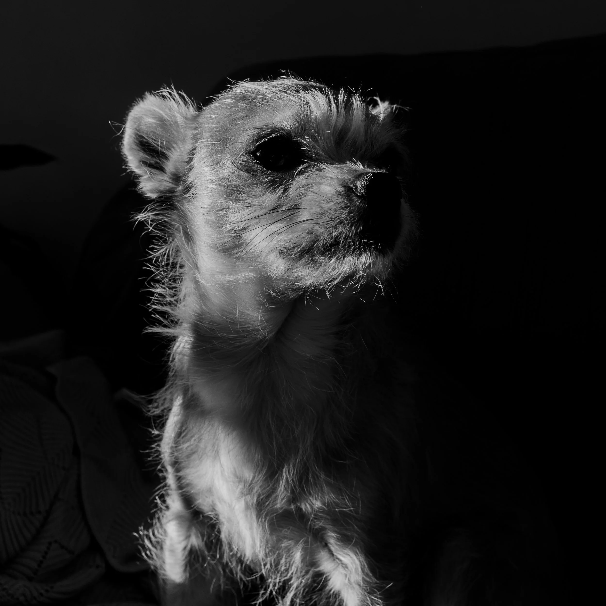 DSC_0107.jpg