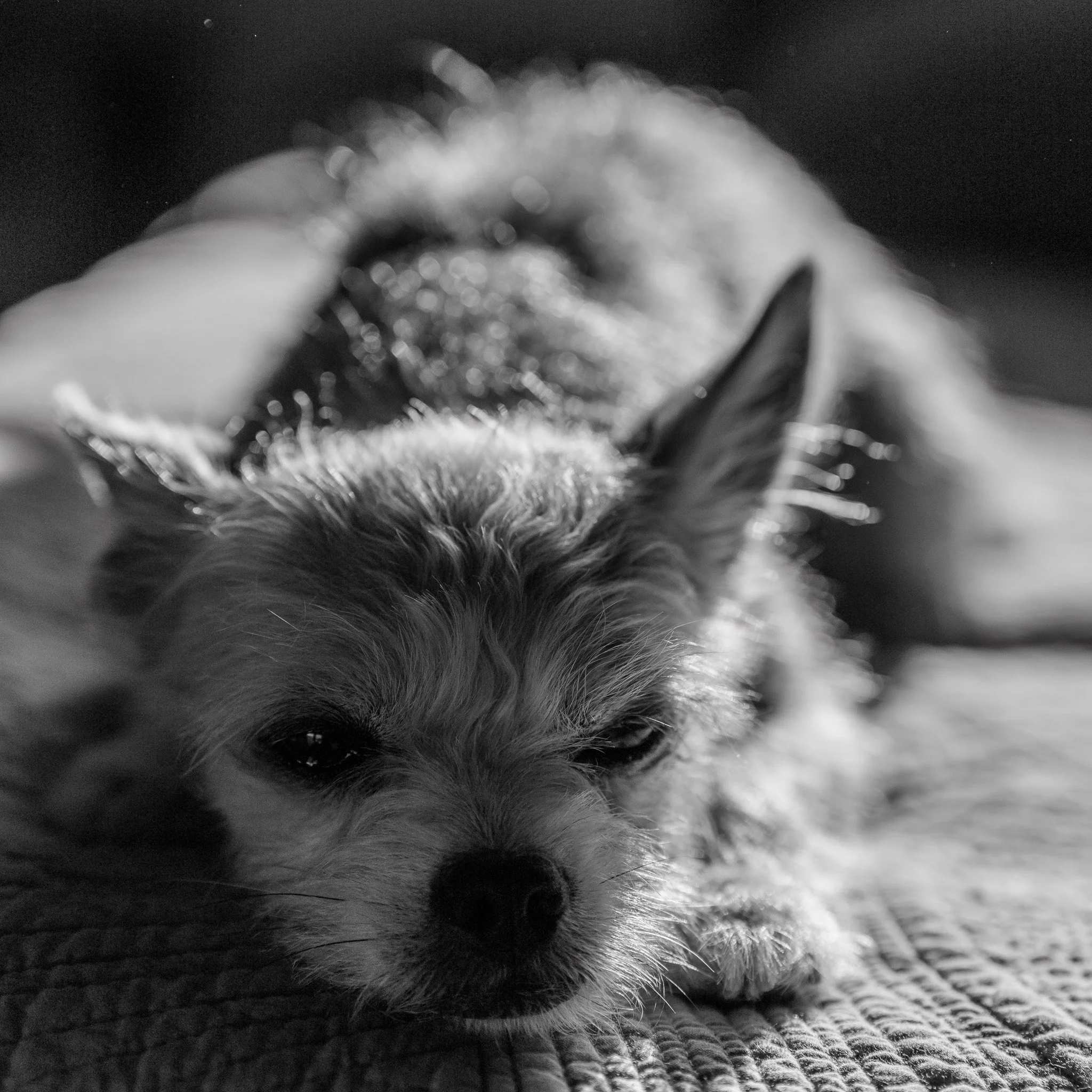 _1090957-3.jpg
