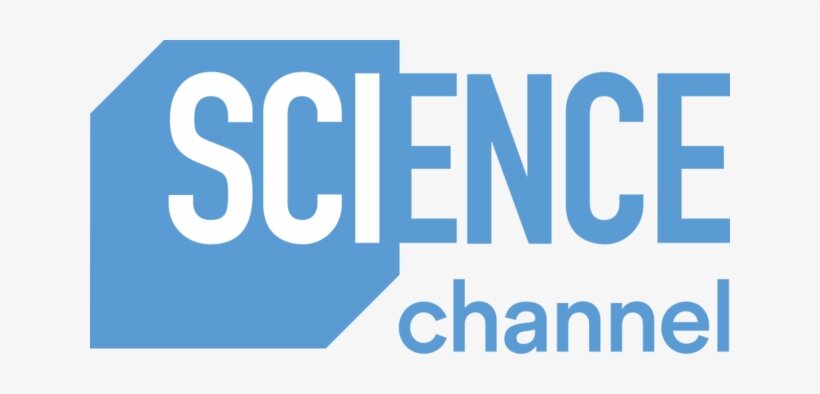 logo 4.png