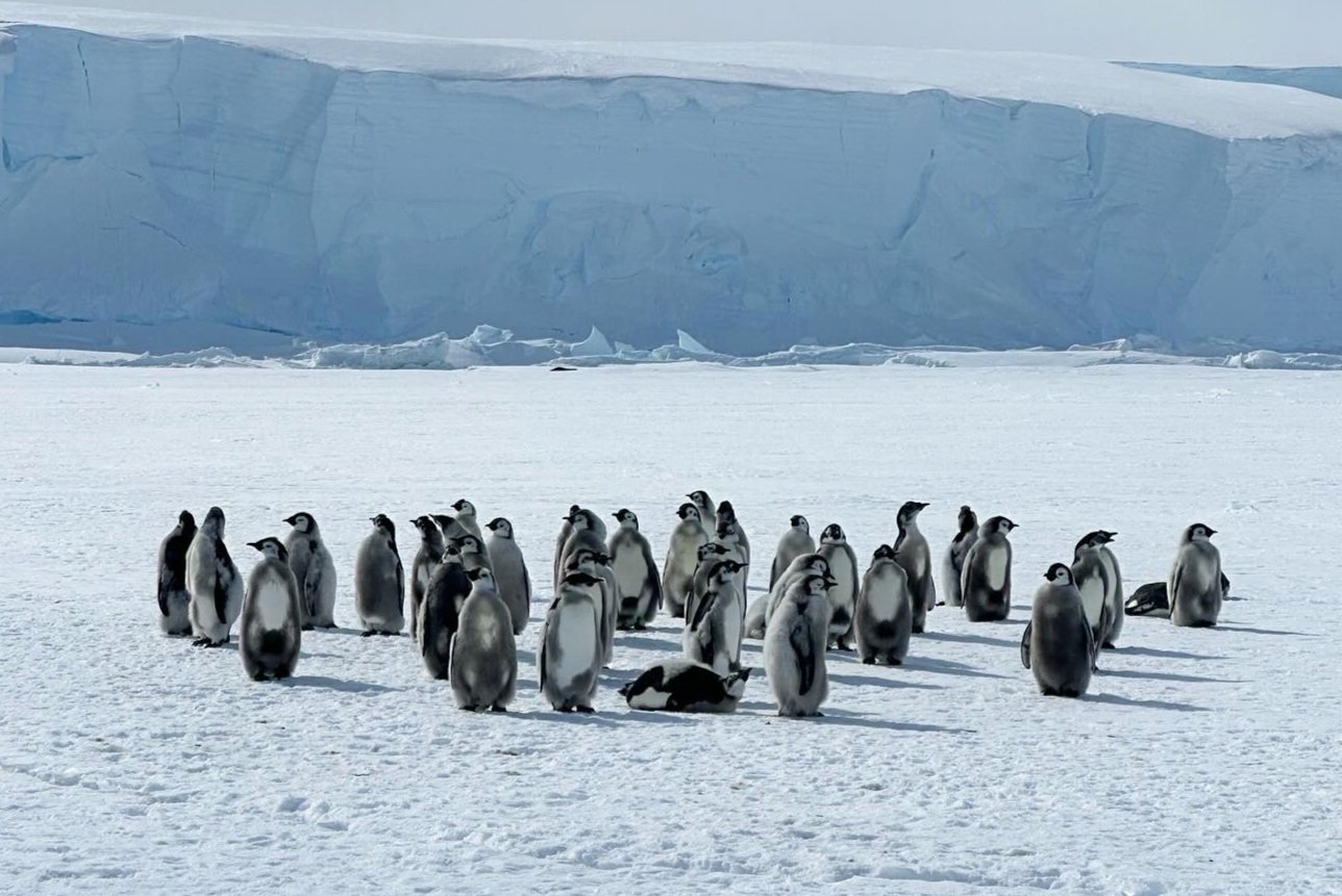 ANTARCTICA