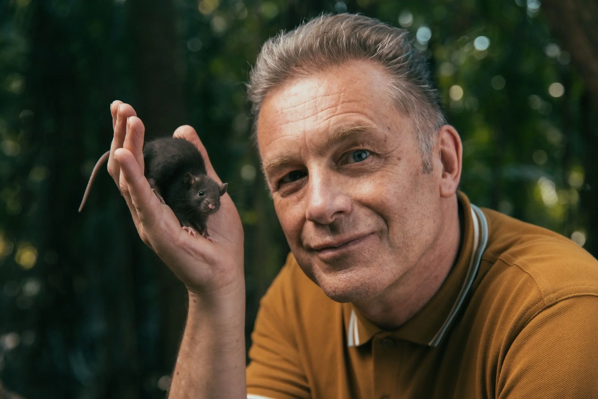 Rat_4.JPG