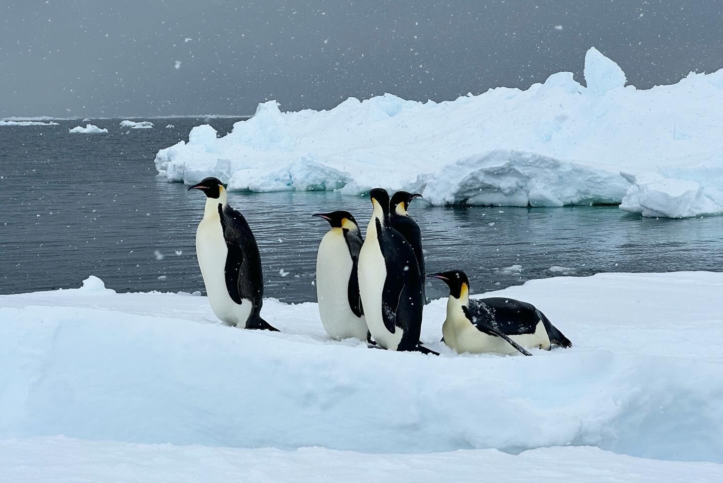 ANTARCTICA