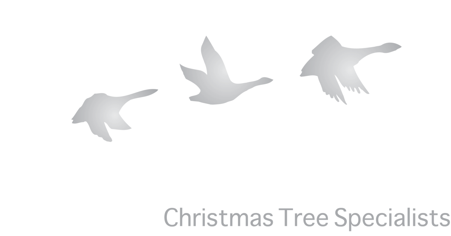 Snowbird Christmas Tree Farm