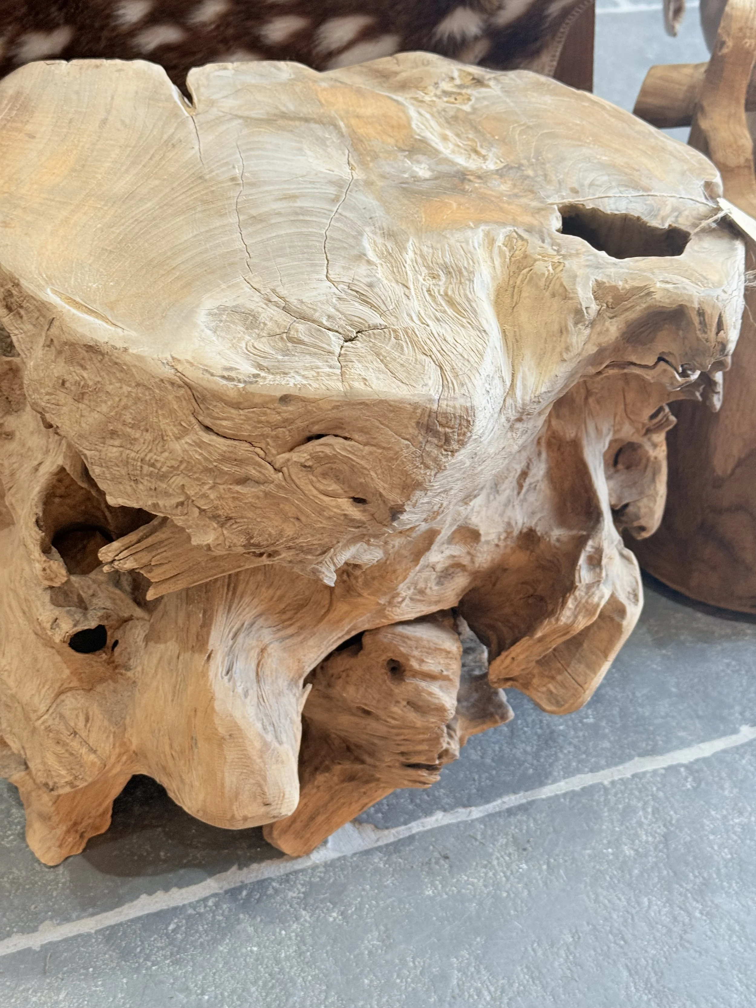 IMG_9289.jpeg
